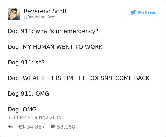 126 Of The Best Dog Tweets Of 2016 126 Of The Best Dog Tweets Of 2016