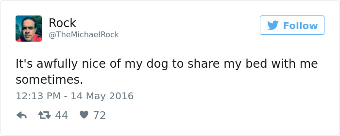126 Of The Best Dog Tweets Of 2016 126 Of The Best Dog Tweets Of 2016