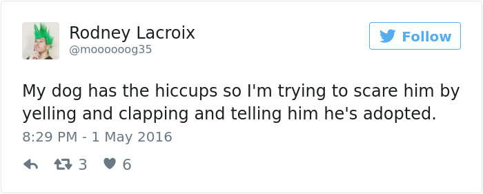 126 Of The Best Dog Tweets Of 2016 126 Of The Best Dog Tweets Of 2016