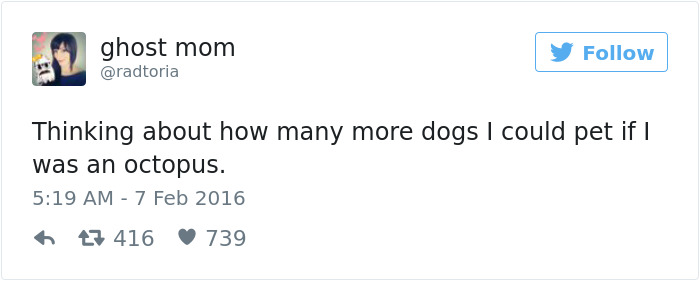 126 Of The Best Dog Tweets Of 2016 126 Of The Best Dog Tweets Of 2016