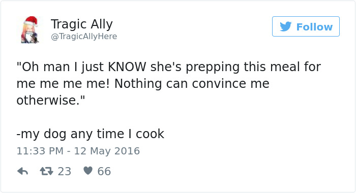 126 Of The Best Dog Tweets Of 2016 126 Of The Best Dog Tweets Of 2016