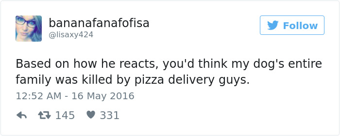 126 Of The Best Dog Tweets Of 2016 126 Of The Best Dog Tweets Of 2016