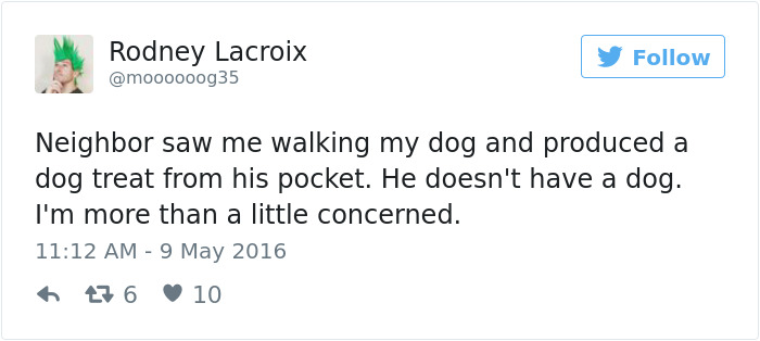 126 Of The Best Dog Tweets Of 2016 126 Of The Best Dog Tweets Of 2016