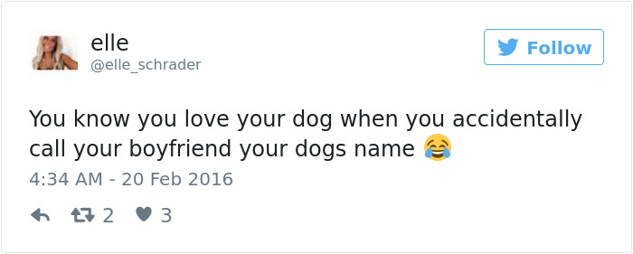 126 Of The Best Dog Tweets Of 2016 126 Of The Best Dog Tweets Of 2016