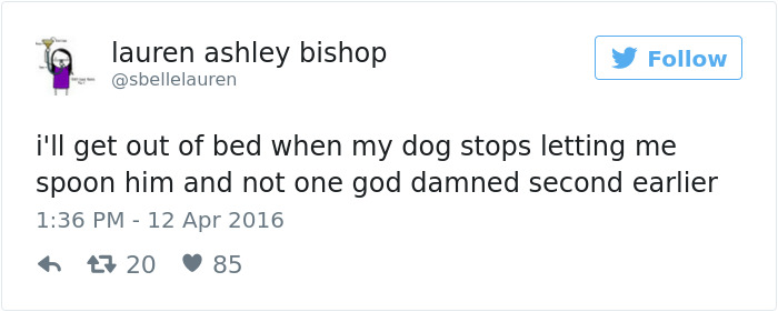 126 Of The Best Dog Tweets Of 2016 126 Of The Best Dog Tweets Of 2016