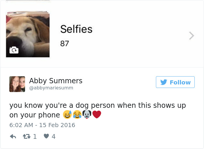 126 Of The Best Dog Tweets Of 2016 126 Of The Best Dog Tweets Of 2016