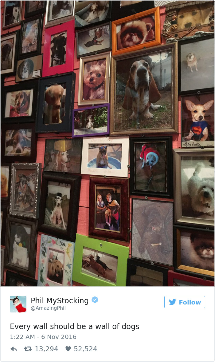 126 Of The Best Dog Tweets Of 2016 126 Of The Best Dog Tweets Of 2016