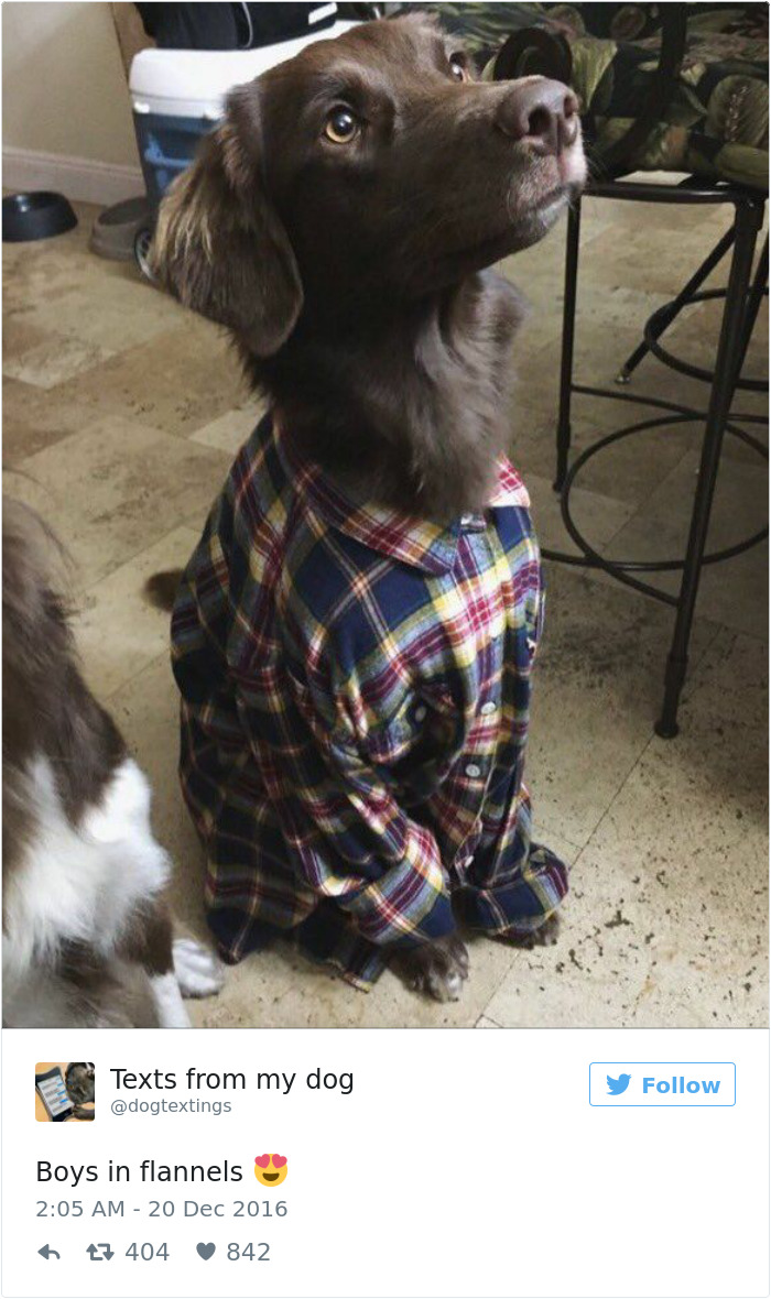 126 Of The Best Dog Tweets Of 2016 126 Of The Best Dog Tweets Of 2016