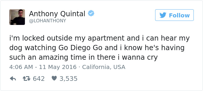 126 Of The Best Dog Tweets Of 2016 126 Of The Best Dog Tweets Of 2016