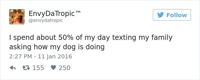 126 Of The Best Dog Tweets Of 2016 126 Of The Best Dog Tweets Of 2016