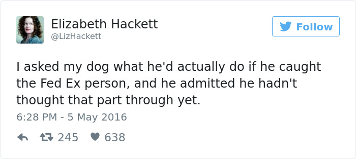 126 Of The Best Dog Tweets Of 2016 126 Of The Best Dog Tweets Of 2016