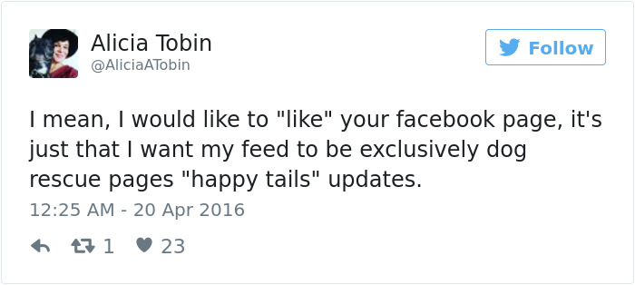 126 Of The Best Dog Tweets Of 2016 126 Of The Best Dog Tweets Of 2016