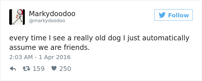 126 Of The Best Dog Tweets Of 2016 126 Of The Best Dog Tweets Of 2016