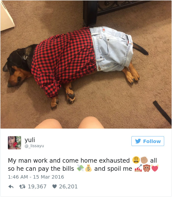 126 Of The Best Dog Tweets Of 2016 126 Of The Best Dog Tweets Of 2016