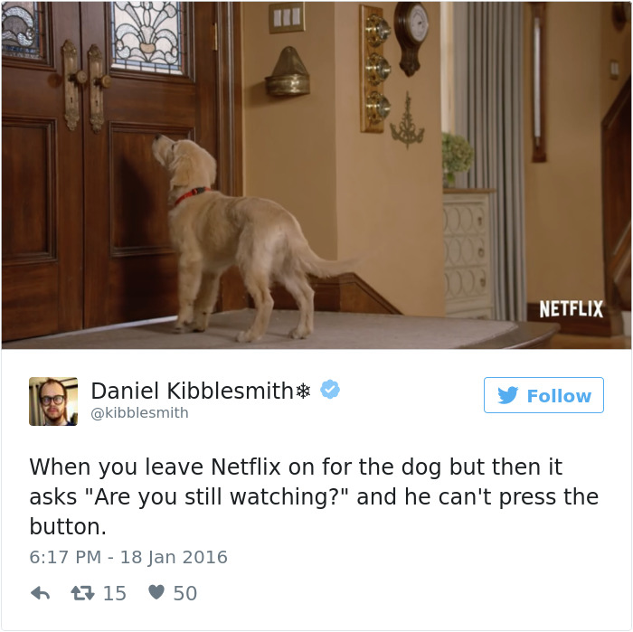 126 Of The Best Dog Tweets Of 2016 126 Of The Best Dog Tweets Of 2016