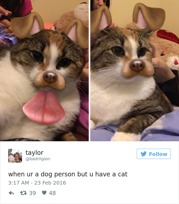 126 Of The Best Dog Tweets Of 2016 126 Of The Best Dog Tweets Of 2016