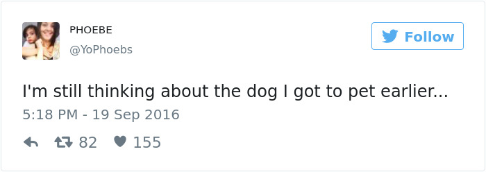 126 Of The Best Dog Tweets Of 2016 126 Of The Best Dog Tweets Of 2016