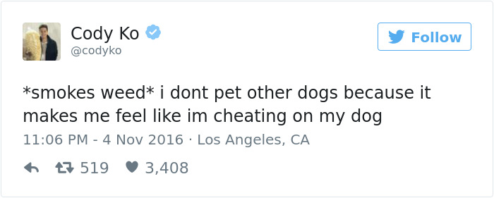 126 Of The Best Dog Tweets Of 2016 126 Of The Best Dog Tweets Of 2016
