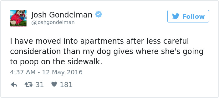 126 Of The Best Dog Tweets Of 2016 126 Of The Best Dog Tweets Of 2016