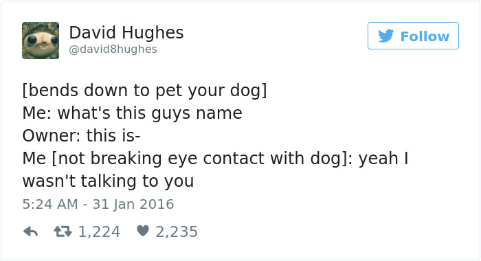 126 Of The Best Dog Tweets Of 2016 126 Of The Best Dog Tweets Of 2016