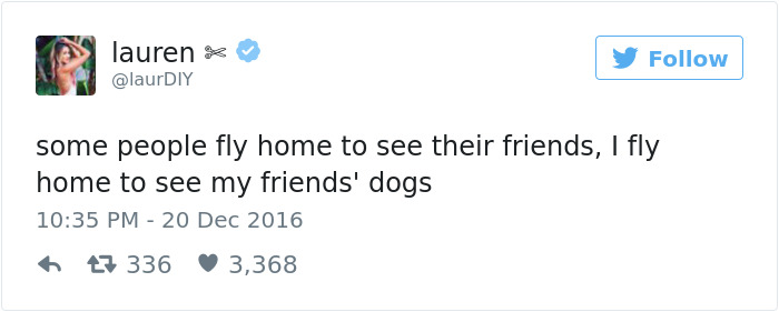 126 Of The Best Dog Tweets Of 2016 126 Of The Best Dog Tweets Of 2016