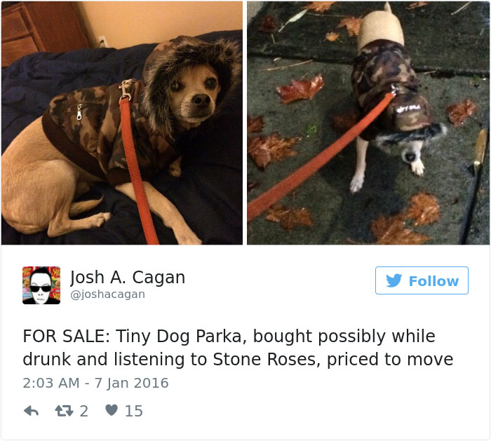 126 Of The Best Dog Tweets Of 2016 126 Of The Best Dog Tweets Of 2016