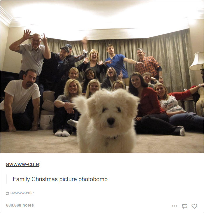 40 Hilarious Christmas Posts That Are Hard Not To Laugh At 40 Hilarious Christmas Posts That Are Hard Not To Laugh At