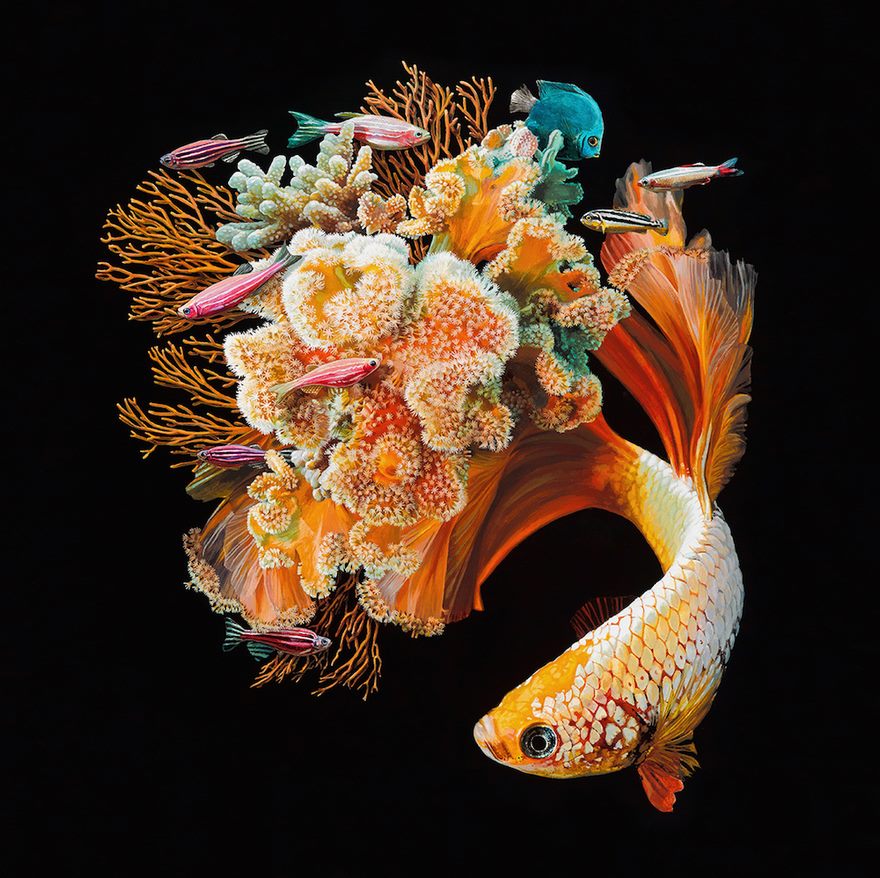 Hyperrealistic Paintings Of Fish Merged With Their Surroundings By Lisa Ericson