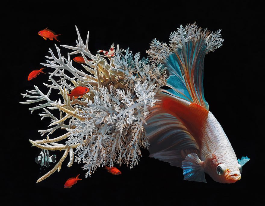 Hyperrealistic Paintings Of Fish Merged With Their Surroundings By Lisa Ericson