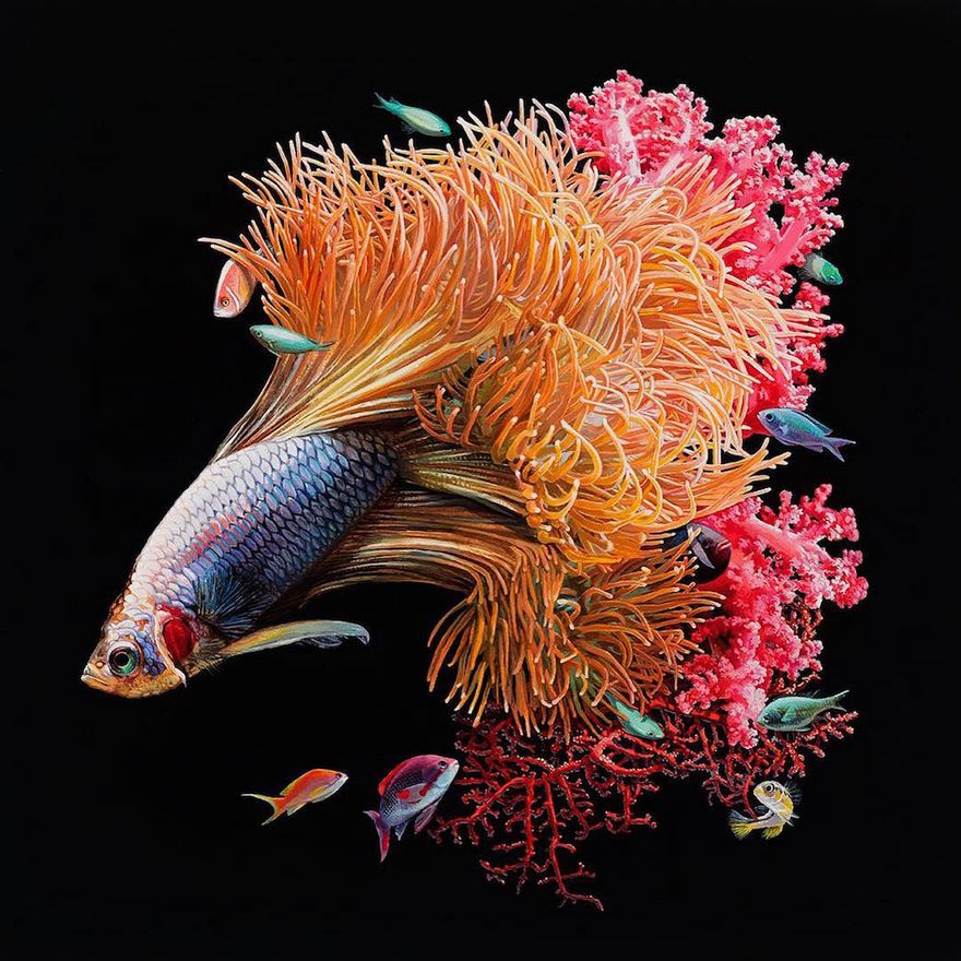 Hyperrealistic Paintings Of Fish Merged With Their Surroundings By Lisa Ericson