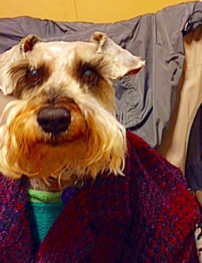 92 Hilariously Creative Snowmen That Would Make Calvin And Hobbes Proud