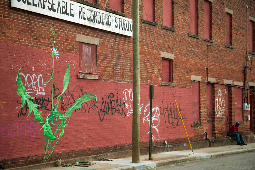 I Paint Weed Murals That Slowly Take Over The City (Gifs+Video)