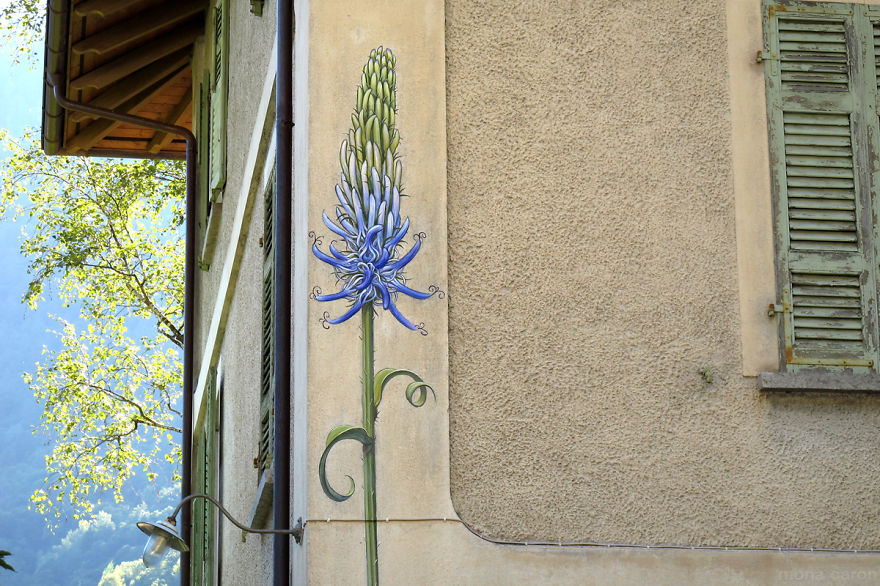 I Paint Weed Murals That Slowly Take Over The City (Gifs+Video)