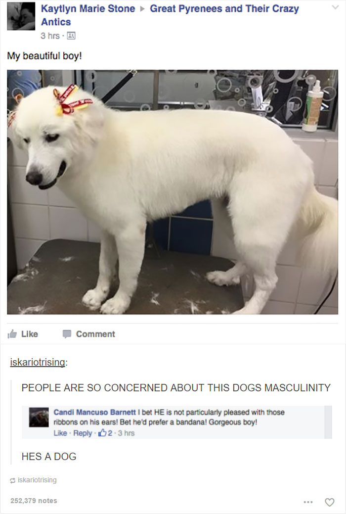 75 Times Internet Destroyed Fragile Masculinity 75 Times Internet Destroyed Fragile Masculinity