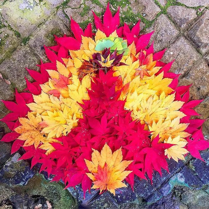 Japanese Are Going Crazy About The Fallen Leaves, Turn Them Into Art Japanese Are Going Crazy About The Fallen Leaves, Turn Them Into Art