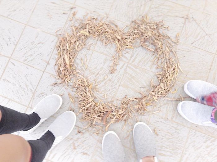 Japanese Are Going Crazy About The Fallen Leaves, Turn Them Into Art Japanese Are Going Crazy About The Fallen Leaves, Turn Them Into Art