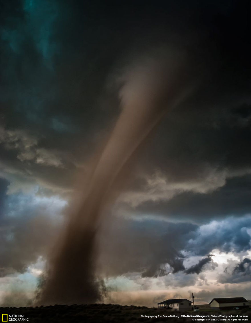 The Winners Of The 2016 National Geographic Nature Photographer Of The Year Contest The Winners Of The 2016 National Geographic Nature Photographer Of The Year Contest