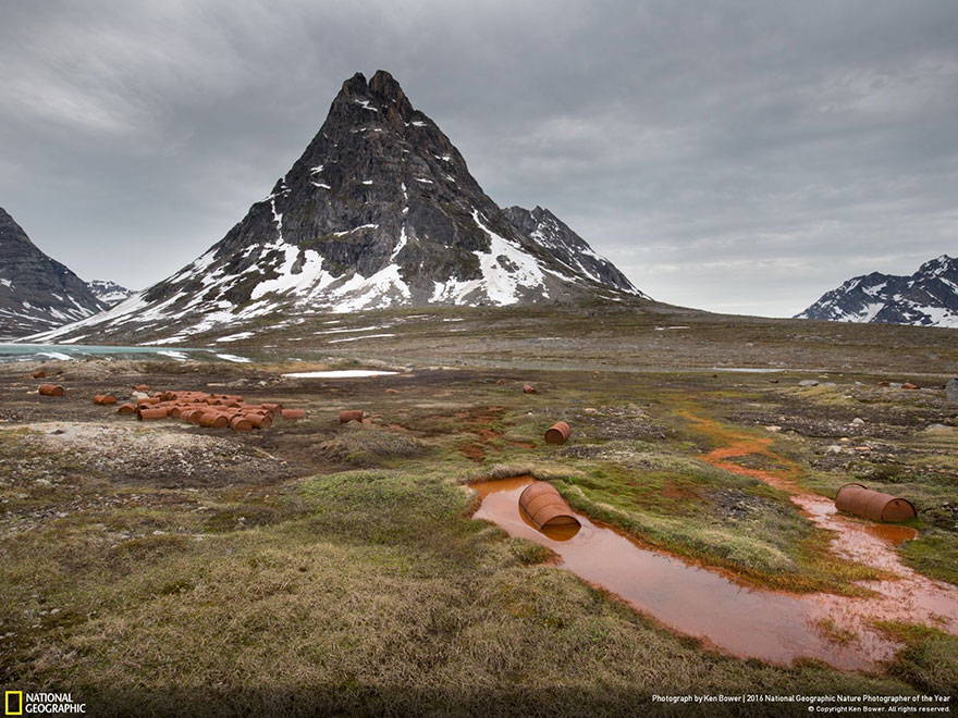 The Winners Of The 2016 National Geographic Nature Photographer Of The Year Contest The Winners Of The 2016 National Geographic Nature Photographer Of The Year Contest