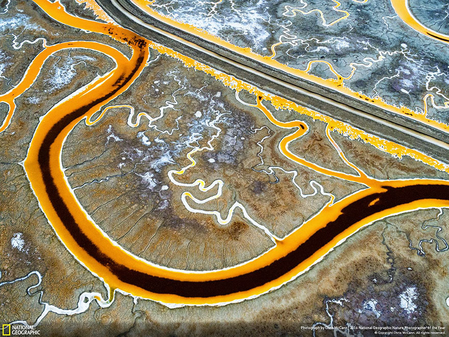 The Winners Of The 2016 National Geographic Nature Photographer Of The Year Contest The Winners Of The 2016 National Geographic Nature Photographer Of The Year Contest