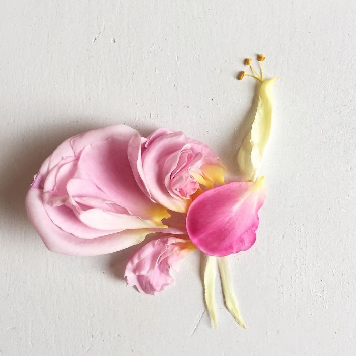 This Artist Turns Flowers Into Paintings This Artist Turns Flowers Into Paintings