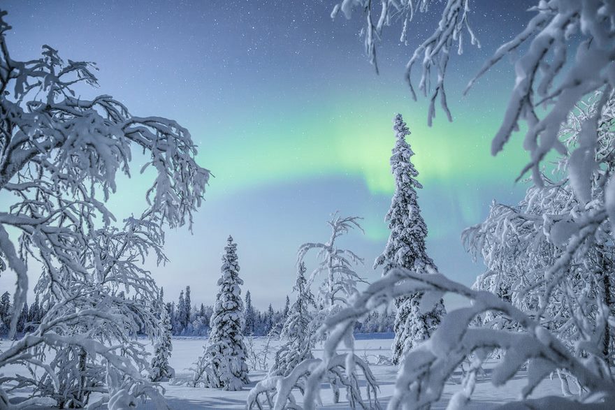104 Reasons Why Lapland Is The Most Magical Place To Celebrate Christmas 104 Reasons Why Lapland Is The Most Magical Place To Celebrate Christmas