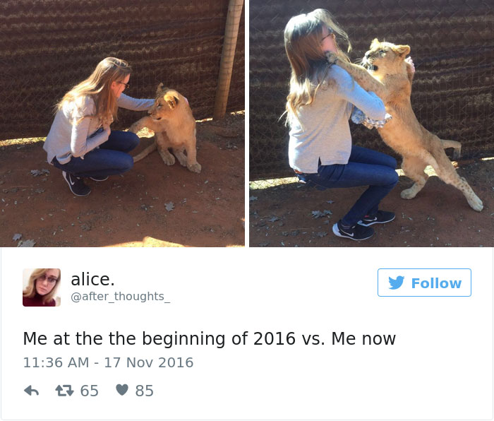 76 Hilarious Before-And-After Transformation Pics Show How 2016 Changed People