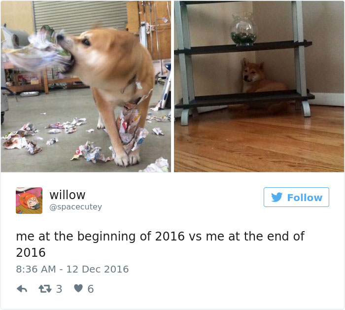 76 Hilarious Before-And-After Transformation Pics Show How 2016 Changed People