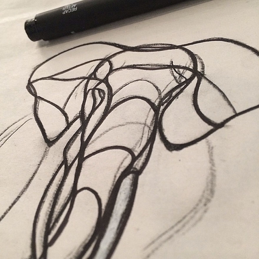 These Animal Signs Start Life As Simple One-Line Drawings These Animal Signs Start Life As Simple One-Line Drawings