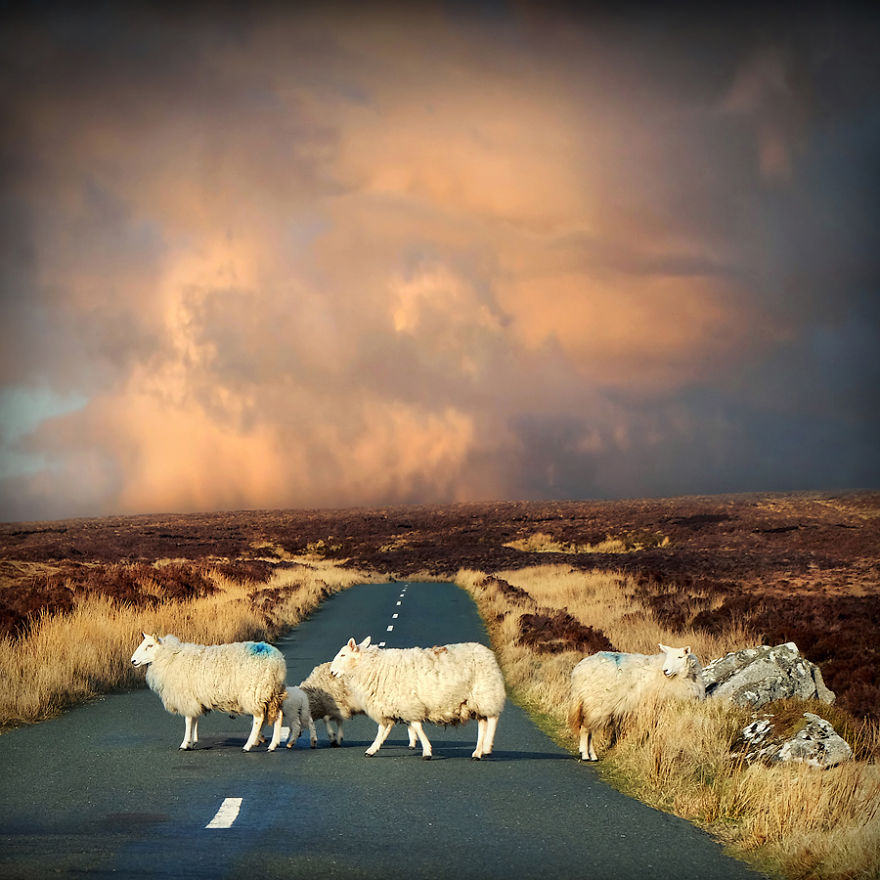 After 10 Years I’m Still Enchanted By Emerald Island After 10 Years I’m Still Enchanted By Emerald Island