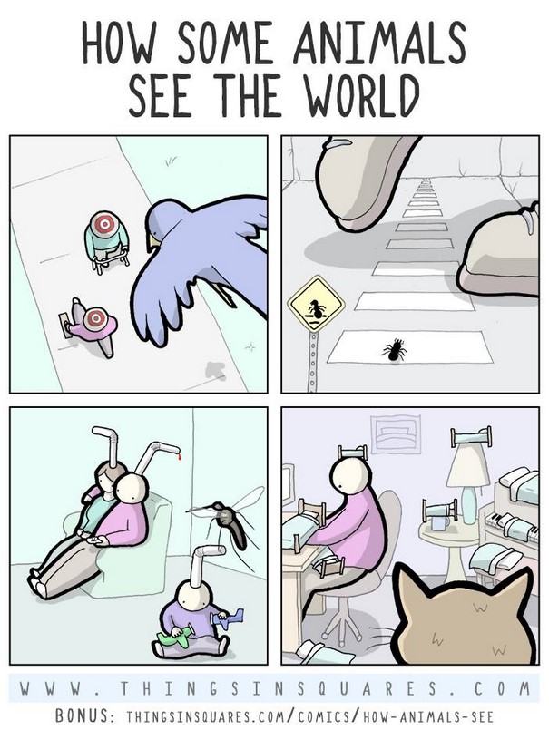 Hilarious Comics Reveal The Dark Side Of Animals (41 Pics)