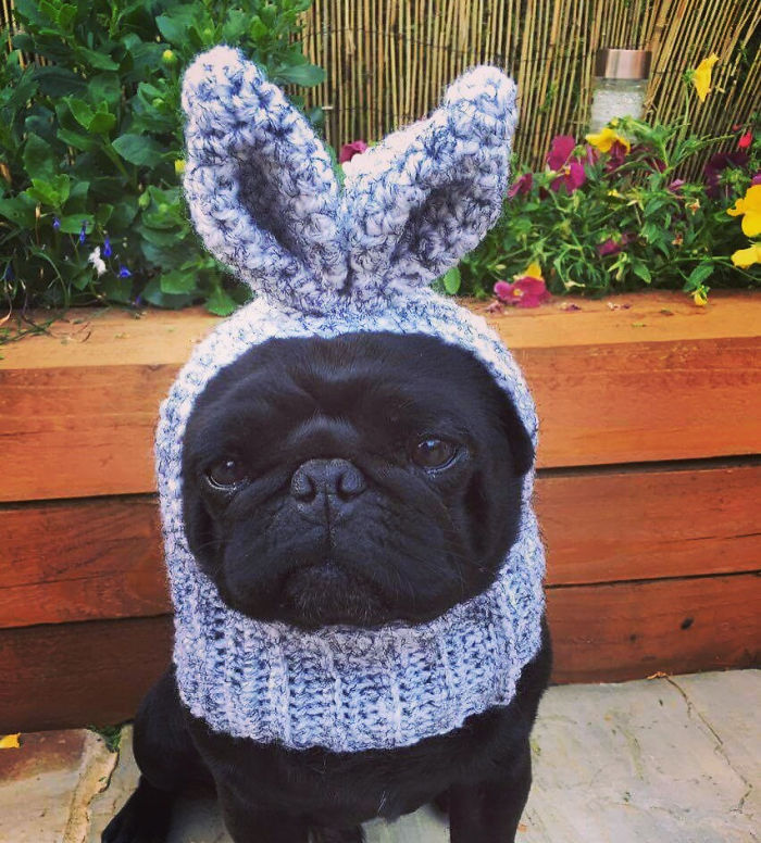 92 Awesome Knit And Crochet Gift Ideas That Will Help You Prepare For Winter