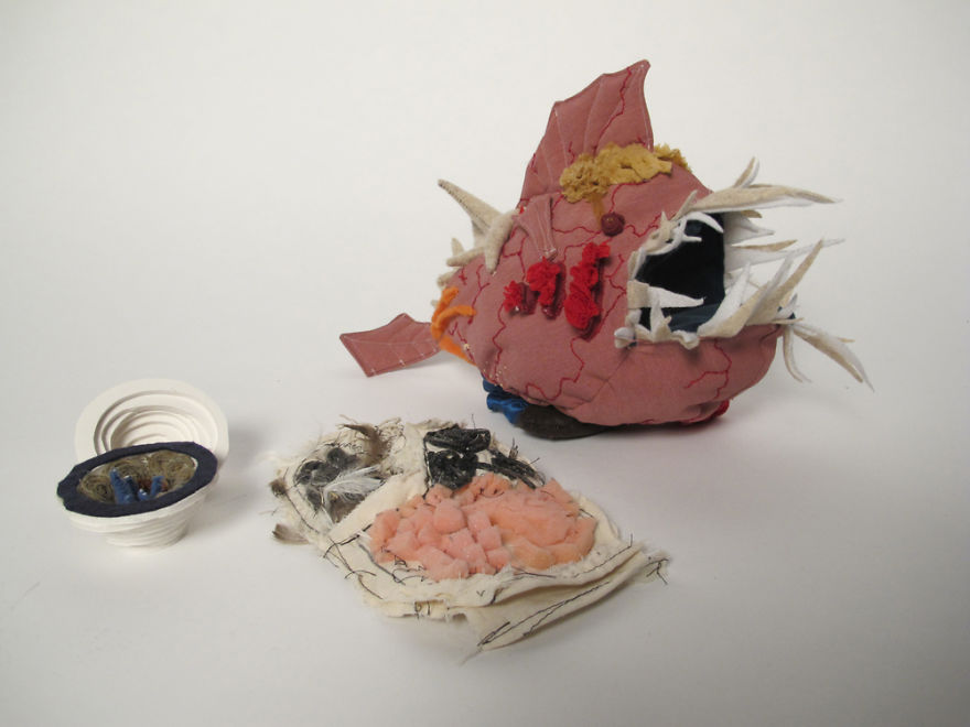 Finally, A Fish You Can Turn Inside Out Finally, A Fish You Can Turn Inside Out