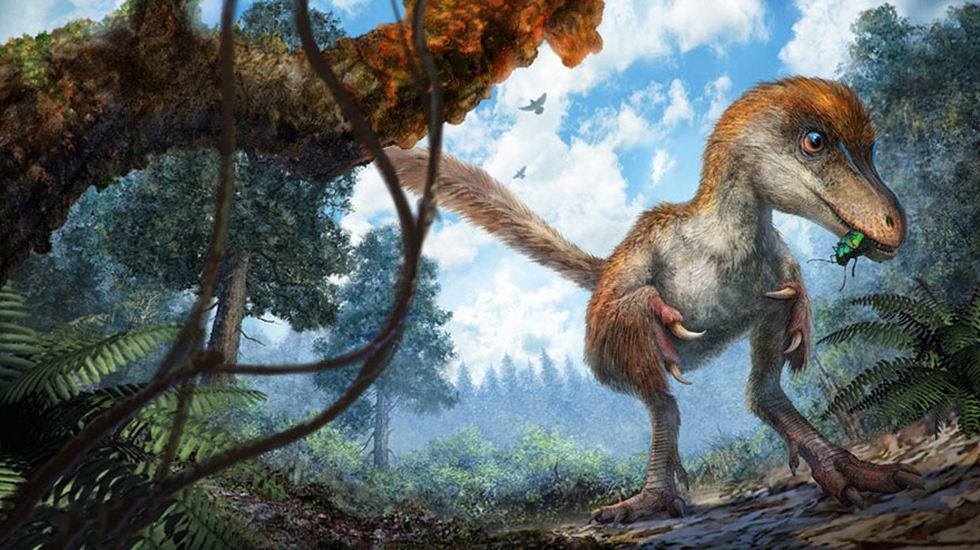 First Dinosaur Tail Found Preserved In Amber Is 99-Million-Years-Old And Covered In Feathers First Dinosaur Tail Found Preserved In Amber Is 99-Million-Years-Old And Covered In Feathers