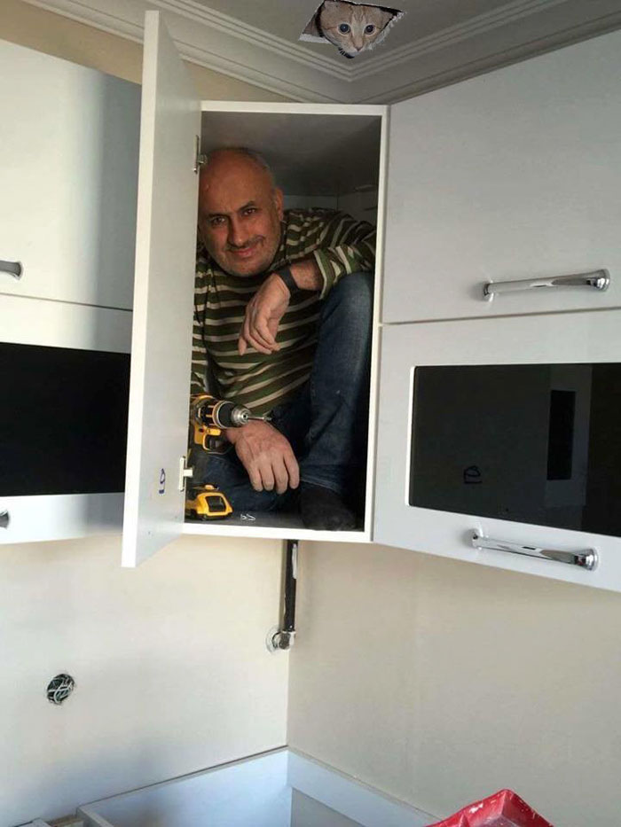 Contractor Gets In The Cabinet To Prove Its Sturdiness, Sparks Hilarious Photoshop Battle